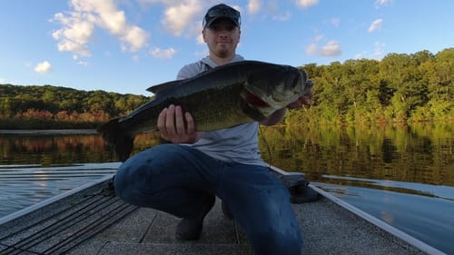 Fall Flipping Bite Was CRAZY!