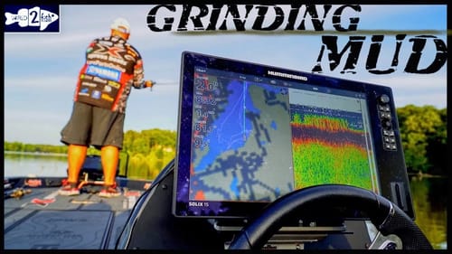 Why to Fish Ultra Shallow in Summer and Fall to Catch More Bass