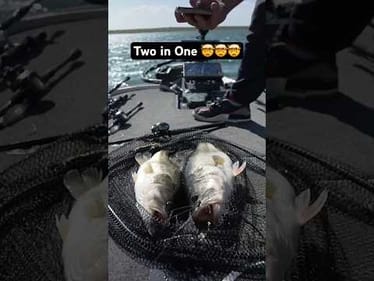 Two Fish In One Catch! 🤯