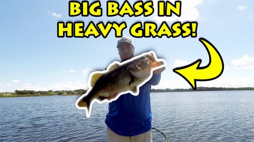 FLIPPING HEAVY GRASS FOR BASS! - Florida Bass Fishing