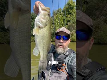 What’s on the Bass Menu Today?