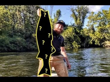 TROUT FISHING the CLINCH RIVER  ||MASSIVE SURPRISE CATCH||