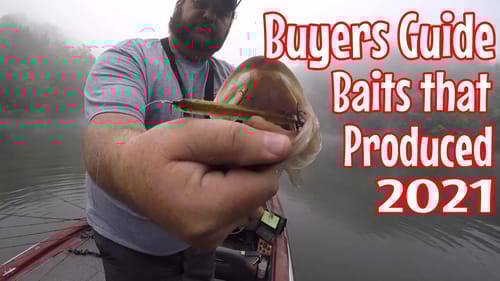 Baits that PRODUCED in 2021 - Buyers Guide