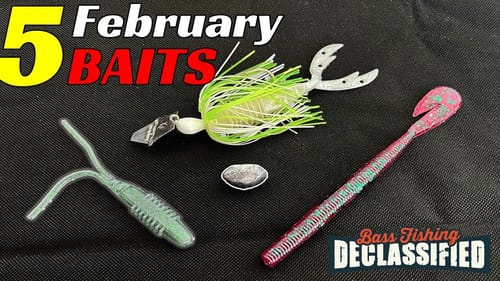 Don’t Go Fishing Without These 5 Baits In February