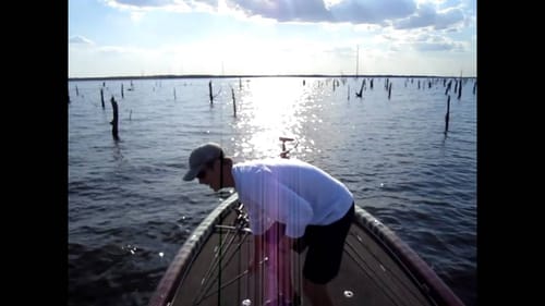 Mike Iaconelli Impression and Big Schooling Largemouth Bass