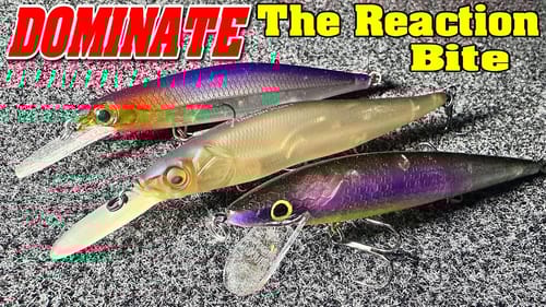The DOMINANTE Reaction Bait