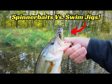 On The Water Comparison Between Spinnerbaits And Swim Jigs. When And Where To Use Each