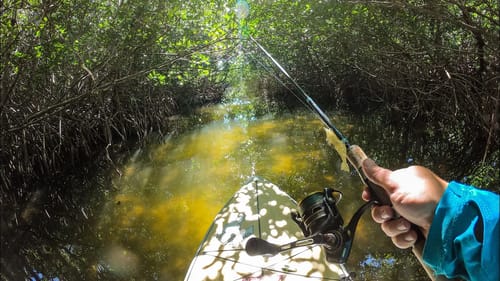 My First Time Fishing on a Paddle Board