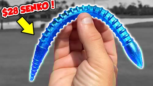 Fishing World's MOST EXPENSIVE Worm!