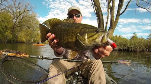 Topwater Strikes 2016