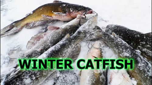 BRUTAL Conditions for BIG CATFISH! Channel Cats Ice Fishing