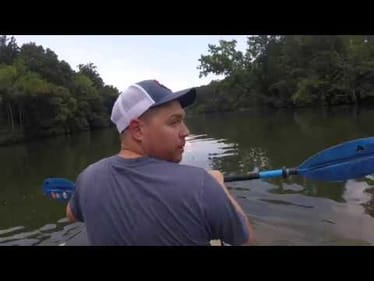 Chasing Bass after bait fish