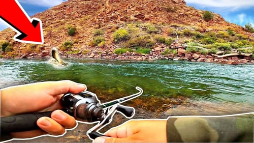 I've NEVER Witnessed ANYTHING Like This while Fishing!!