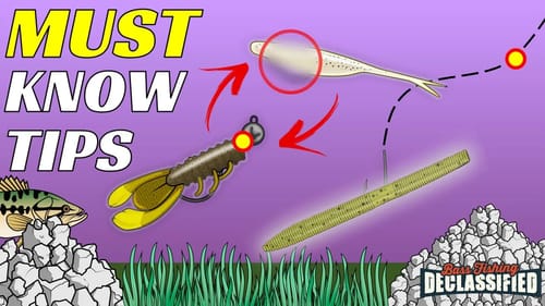 You WILL Regret NOT Watching This ULTIMATE Fishing Tips Video