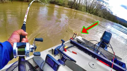 Catfish LURKING In A FLOODED Creek!!! Catfish Fishing Tips and Techniques