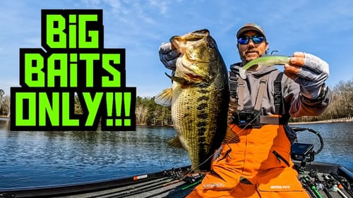 Throwing BIG SWIMBAITS ONLY For 2 HOURS || Could I Catch Em'?