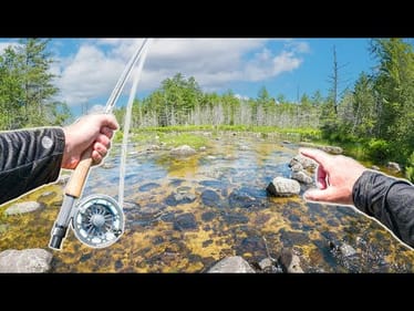 Fishing The CLEANEST Water Creek In The Backwoods!