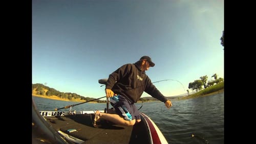 Summer Topwater Action - Popper