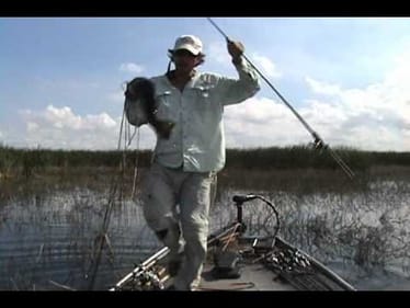 bass, 11 25 5lbs zoom horny toad 001