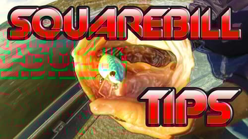 Which Squarebill Crankbaits Catch The Most Fish?