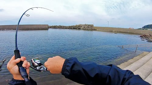 Catching Weird Fish in Japanese Hot Spring