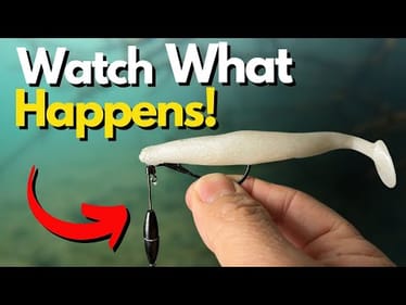 The Swimbait Method That Excels for Targeting Deeper Bass (Watch Underwater)