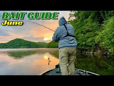 June’s BEST Baits for Catching Bass Everywhere