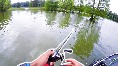 CHASING BASS ON LAKE WILSON