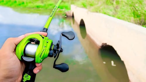 Fishing an ABANDONED Golf Course for BIG Bass (Bank Fishing)