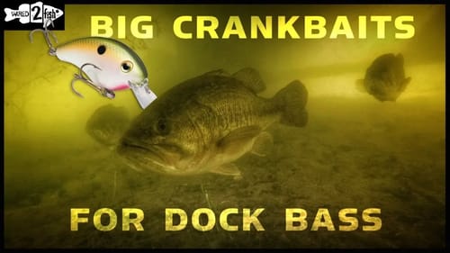 Why Use Aggressive Squarebill Crankbaits for Dock Bass