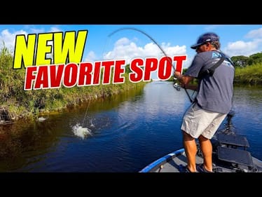 My NEW FAVORITE SPOT in the EVERGLADES!