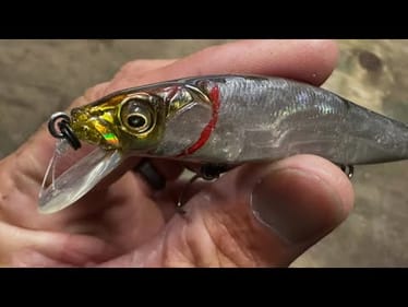 The Summertime Jerkbait Technique I Invented 15 Years Ago…(Limit Getter)