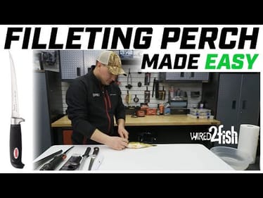 How to Fillet a Perch (Super SIMPLE!)