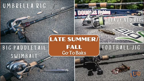 Where to Catch Smallmouth Bass: Summer & Fall (Fishing Secret Tips)