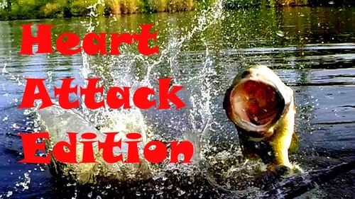 Topwater Strikes at the Boat - Heart Attack Edition