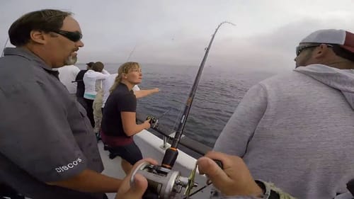 Fishing for Yellowtail, Calico Bass and Barracuda