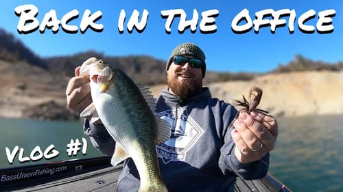 Back in the Office | Vlog #1