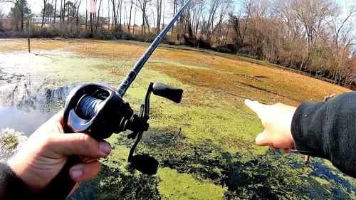 Punching for GIANT Bass in the THICKEST Cover!!! --Maiden Voyage