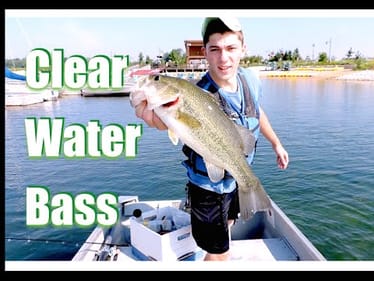 Bass Fishing Shallow Docks