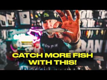 Master The Jerkbait : Tips, Tricks, & Modifications For BIGGER BASS!