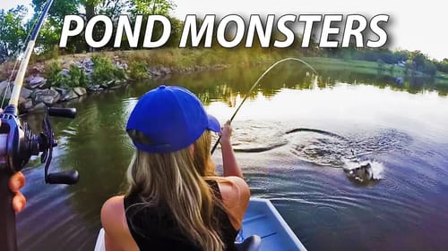 Catching POND MONSTERS in the Summer!