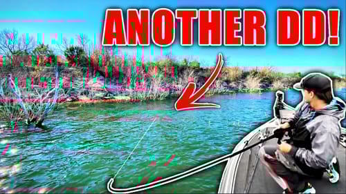 I Caught ANOTHER Double Digit Bass From this CRYSTAL CLEAR Flooded Paradise!!