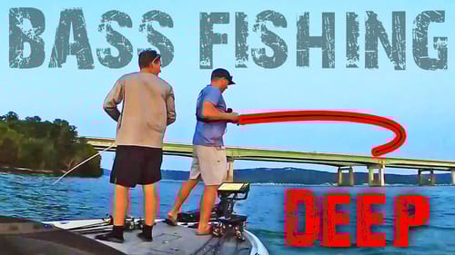 Bass Fishing Down DEEP!! Lake Guntersville Ledge Fishing!