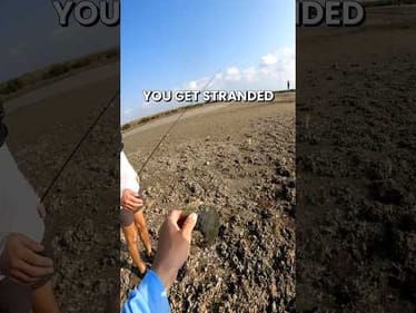 What would you do if you were stranded on a deserted beach for hours? #fishing #fishingvideos