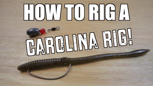 How to Rig a Carolina Rig for Bass Fishing!