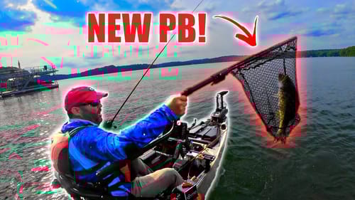 The BIGGEST spotted bass of my life!
