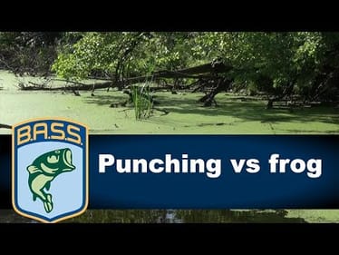 Choosing between a frog and punch bait