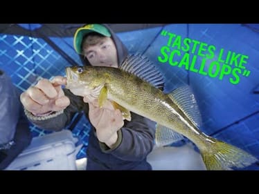 The BEST Fish to Eat -- Toothy Ice Fish Catch n Cook