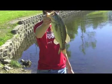 Swimbait Bait Bass (Post-Spawn 5/28/10)