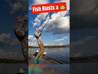 Explosive Topwater Frog Strike! 🐸